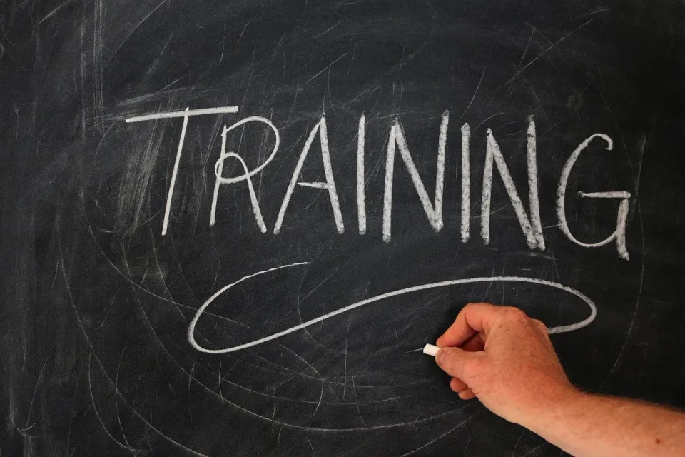 Training programs to improve skills